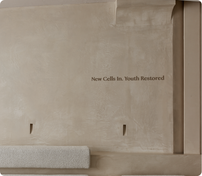 Waiting lounge bench and brand message wall at Nucellin Orthopedic Clinic in Seoul